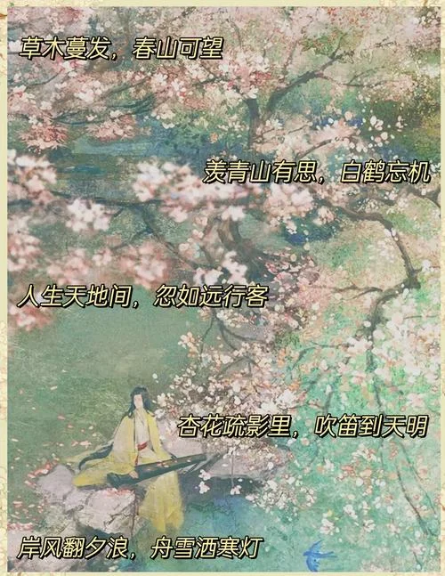 忘机出自于哪首诗-忘机出自何诗