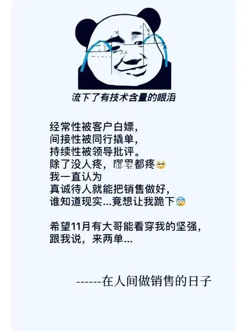 销售日志今日感悟_1