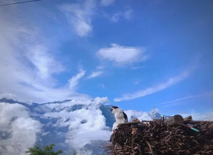 成都浮云牧场景点_1