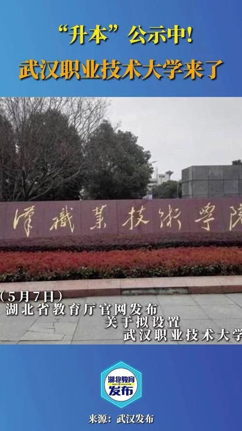 武汉职业技术大学2025_2