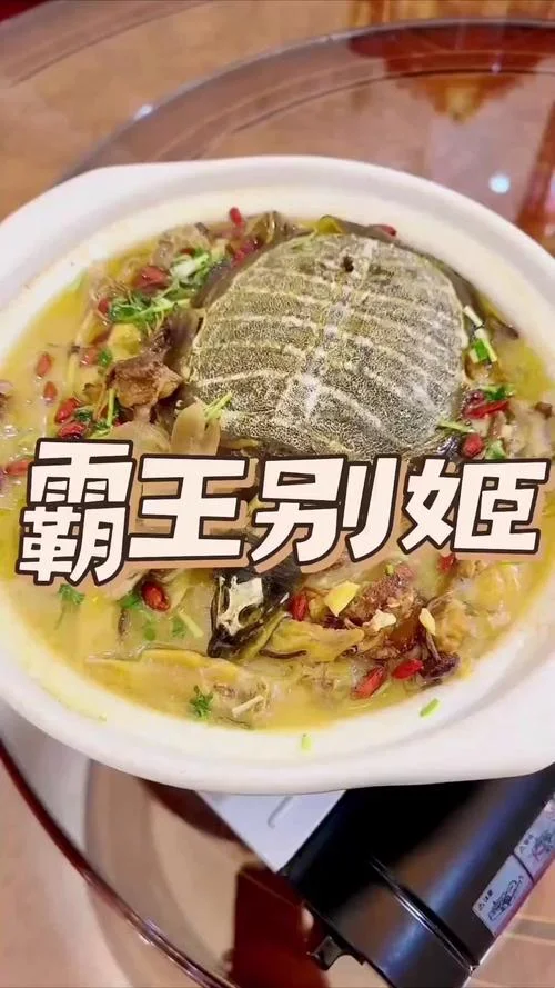 什么是霸王别姬汤_1