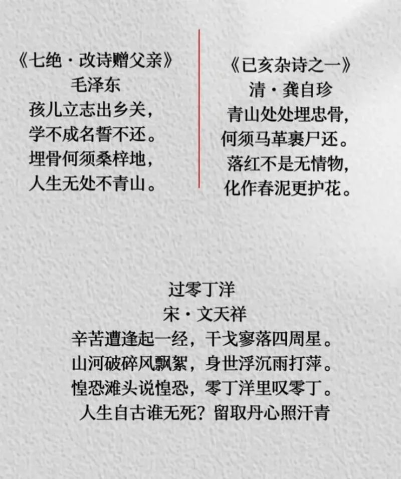青山处处埋忠骨作者简介晓年_2