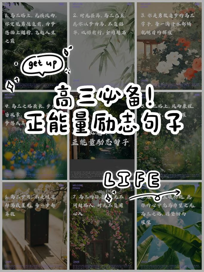 高中生活感悟励志向_1