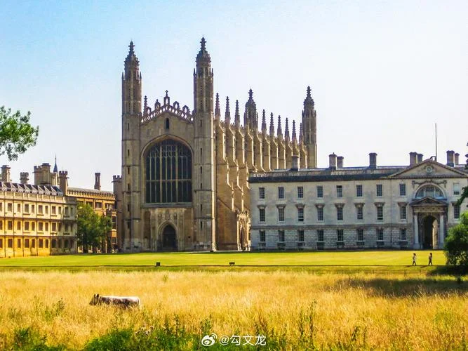 英国qm大学_1