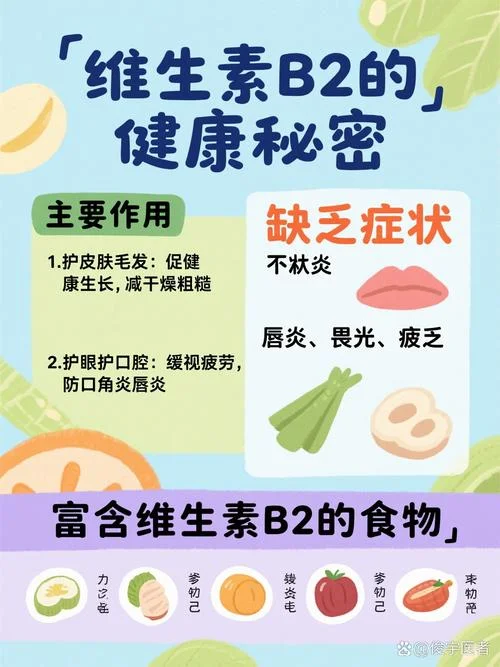 维生素b2又叫什么_1