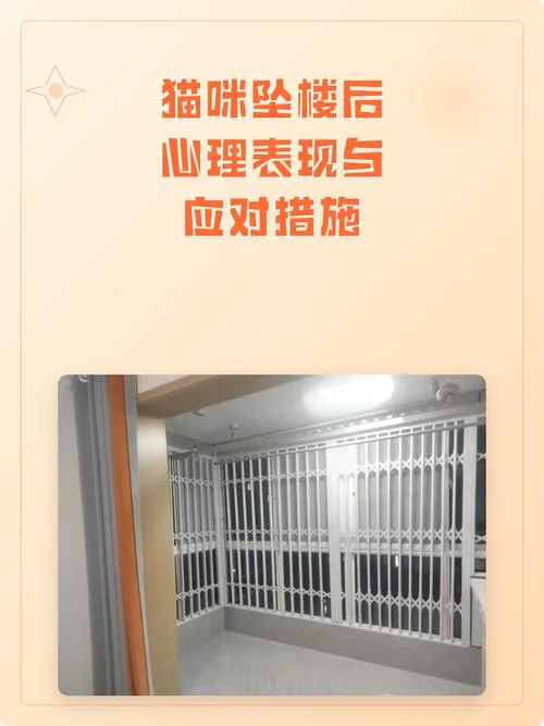 梦到小猫跳楼-梦见小猫坠楼