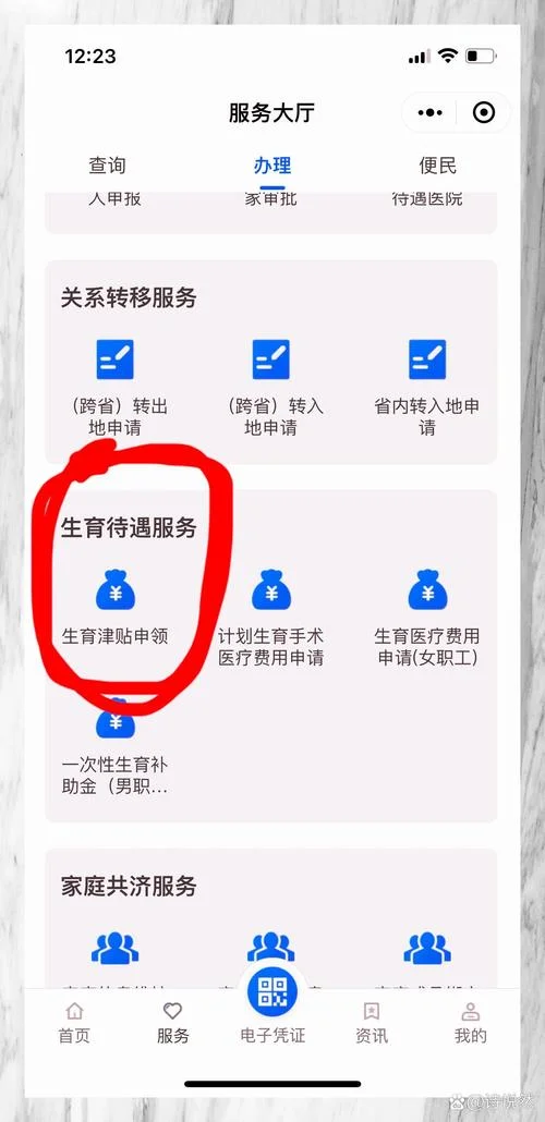 生育津贴在哪个app查_1