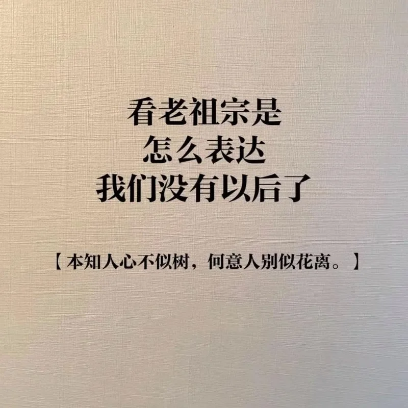 意境文案高级感_1