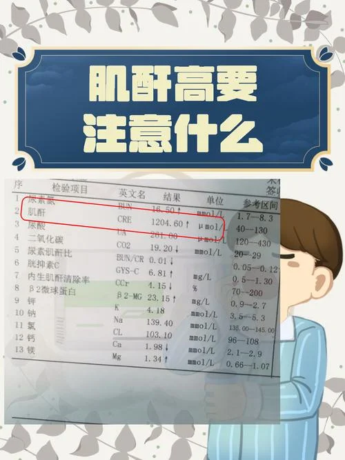 什么是肌酐怎么查_1