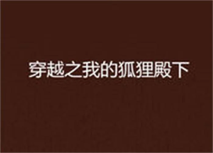 狐狸殿下的作者是谁_2