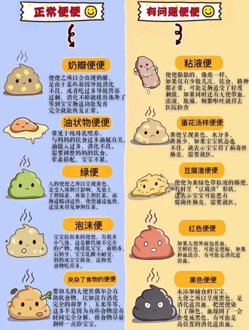 过年梦见大便咋回事-过年梦到拉屎啥寓意