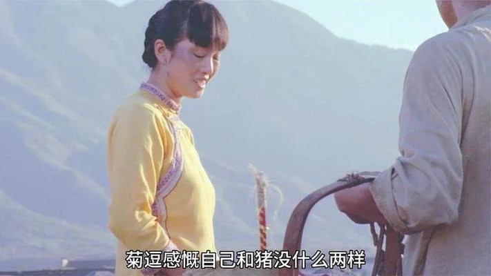 巩俐演的菊豆叫什么电影_2