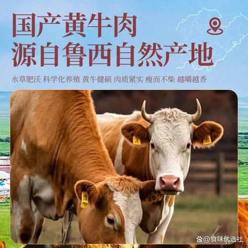 目无全牛出自哪里-目无全牛出自庄子