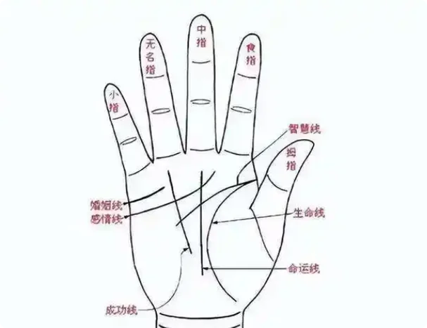 男人手掌长于手指手相-男掌长于指头手相