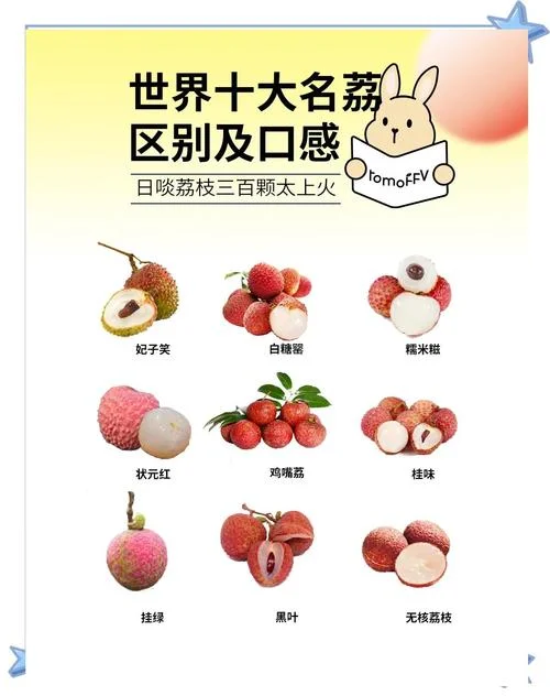 荔枝的作用和感悟_1
