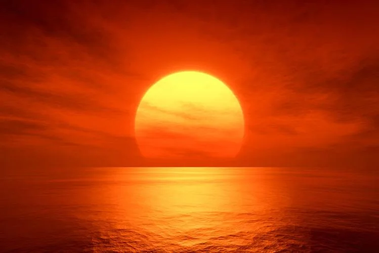 夕阳红图是讲什么的_2