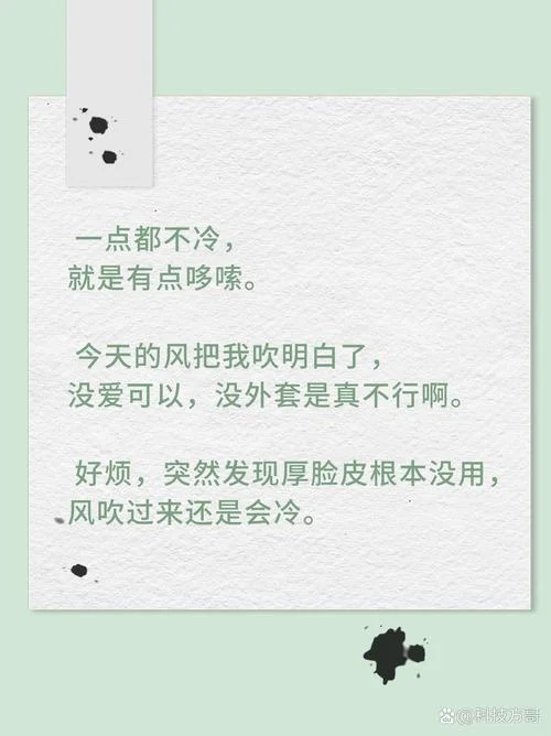 吹了一天风文案_1