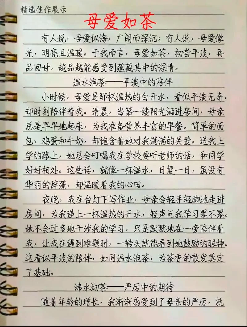感悟亲情作文_2