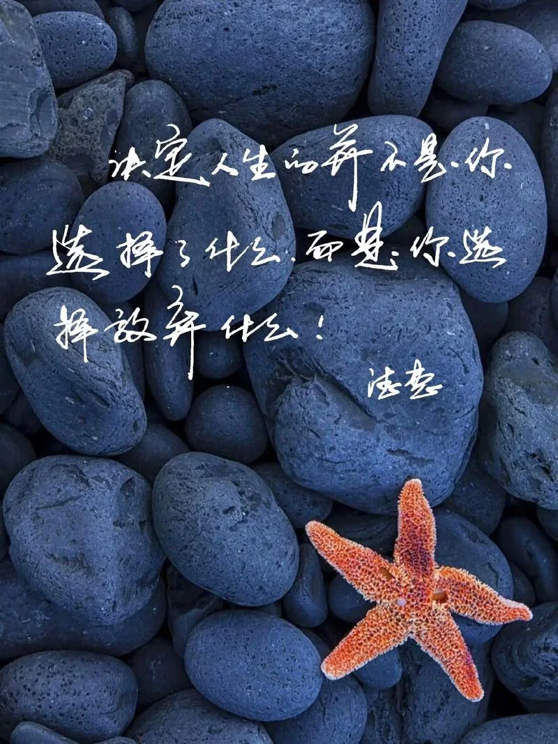 有感悟的句子说说心情_2