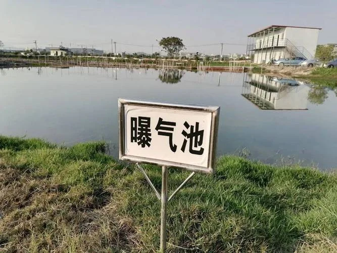 3亩鱼塘一年收入多少_1
