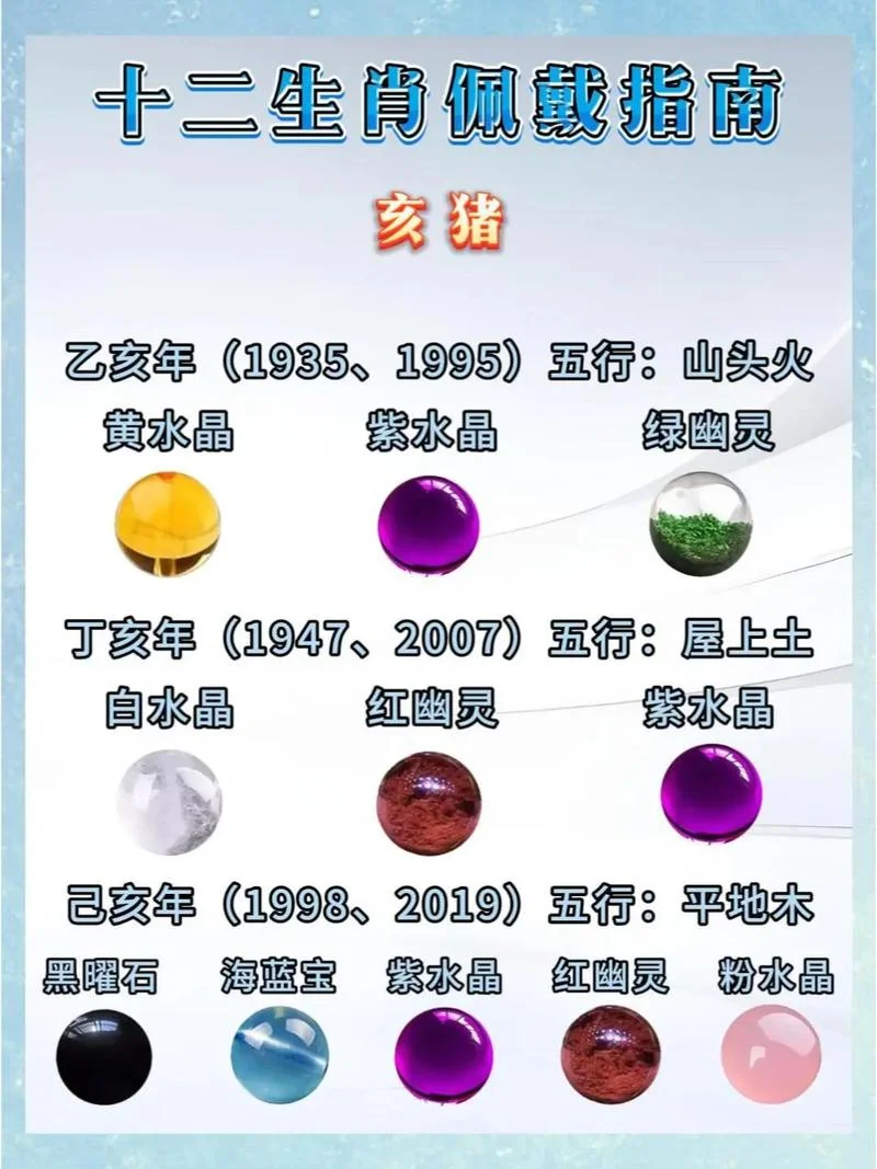属猪的今天运势和财运_2