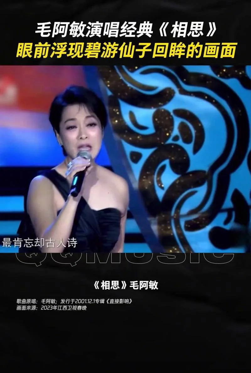 毛阿敏历史的天空现场_2