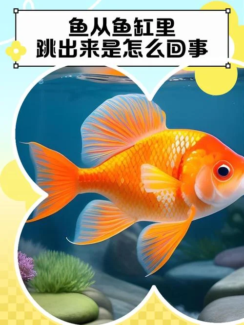 梦见很多鱼蹦起来_1
