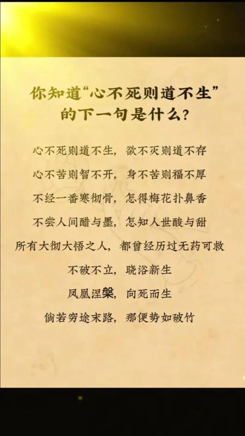 坦然面对生死的感悟_2