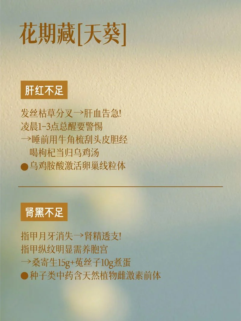 黄帝内经感悟_1