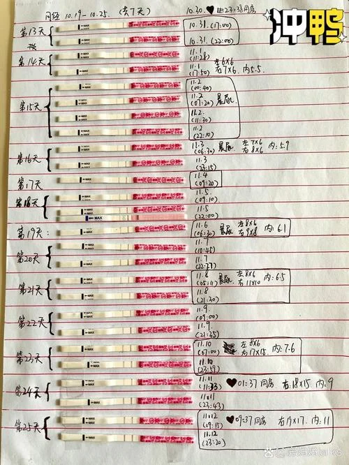 用试纸怎么测排卵-用试纸测排卵