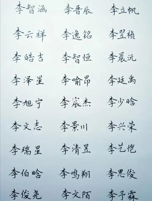 姓沙男孩起名_1