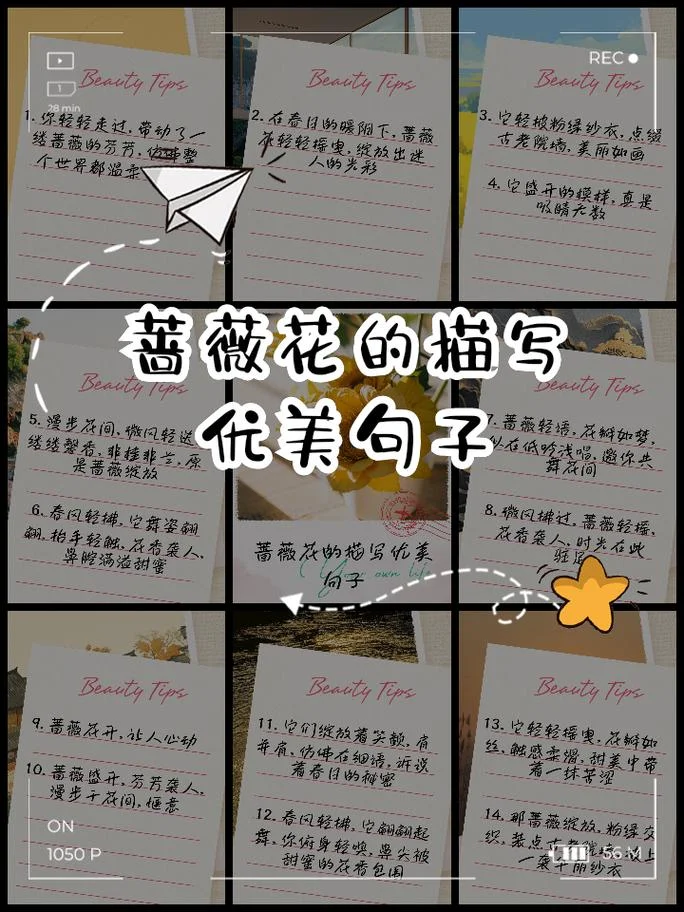 花美人更美的下一句_1