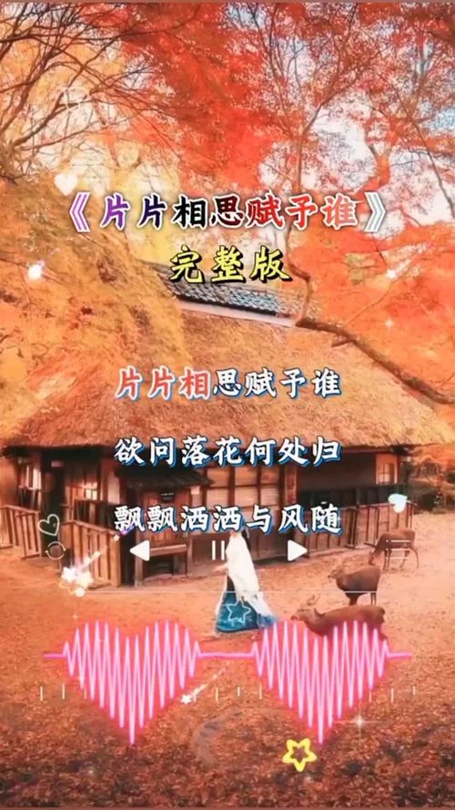 相思赋予谁歌词出自_2