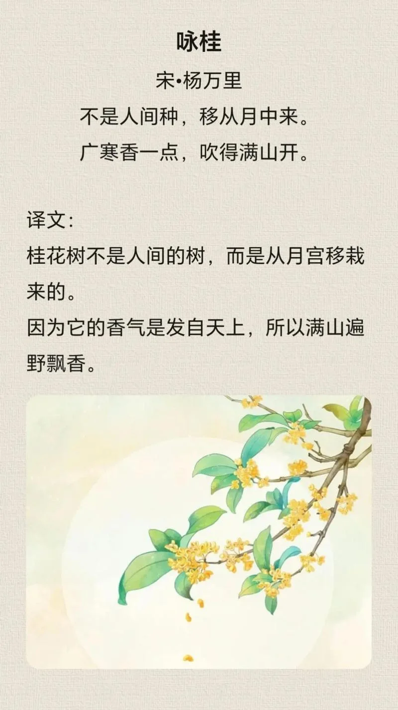 门前一颗大金桂,下一句_2