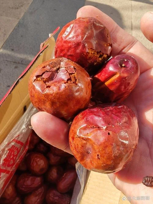 梦见吃红枣里面有虫子_2