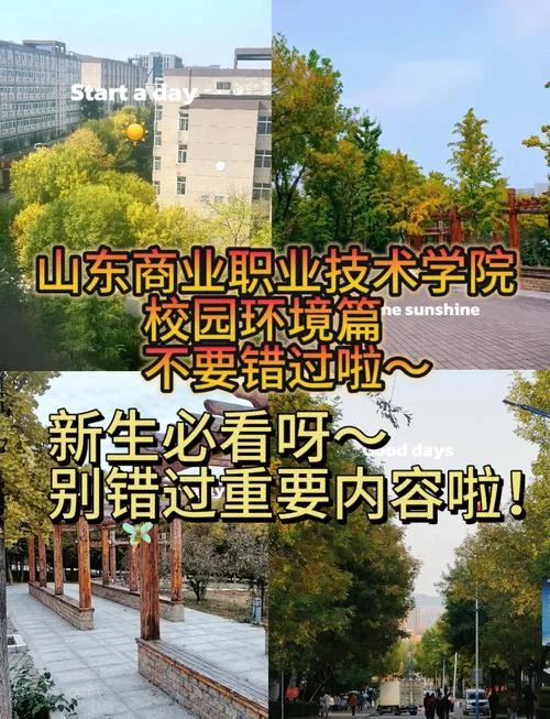山东商业职业技术学院官网_1