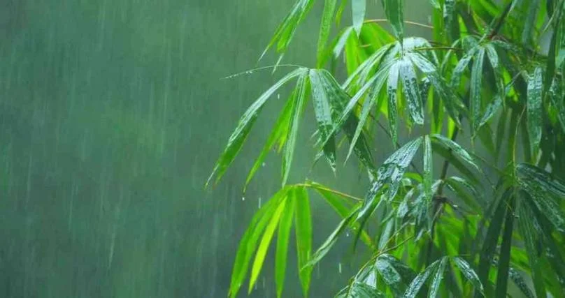 做梦梦见下雨-梦雨
