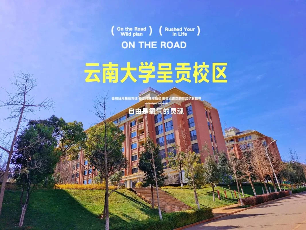 云南大学考研应统_1