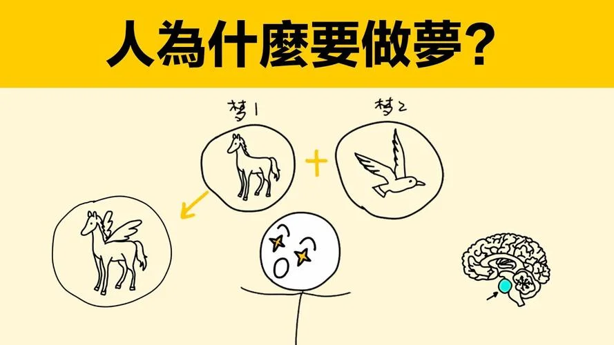 人为何做梦-人类为何会做梦