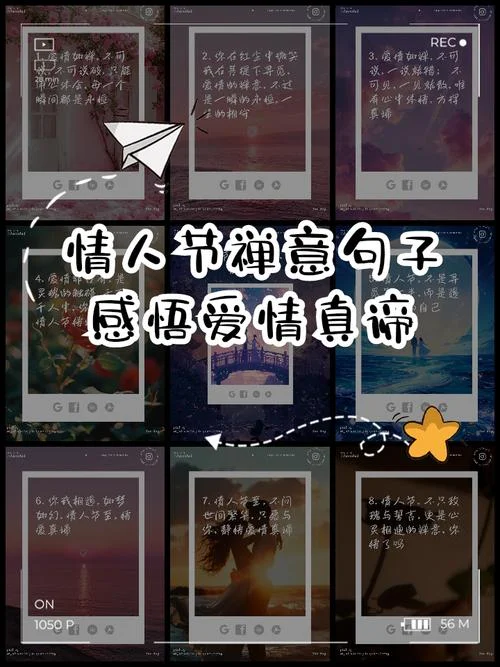爱情的感悟-感悟爱情真谛