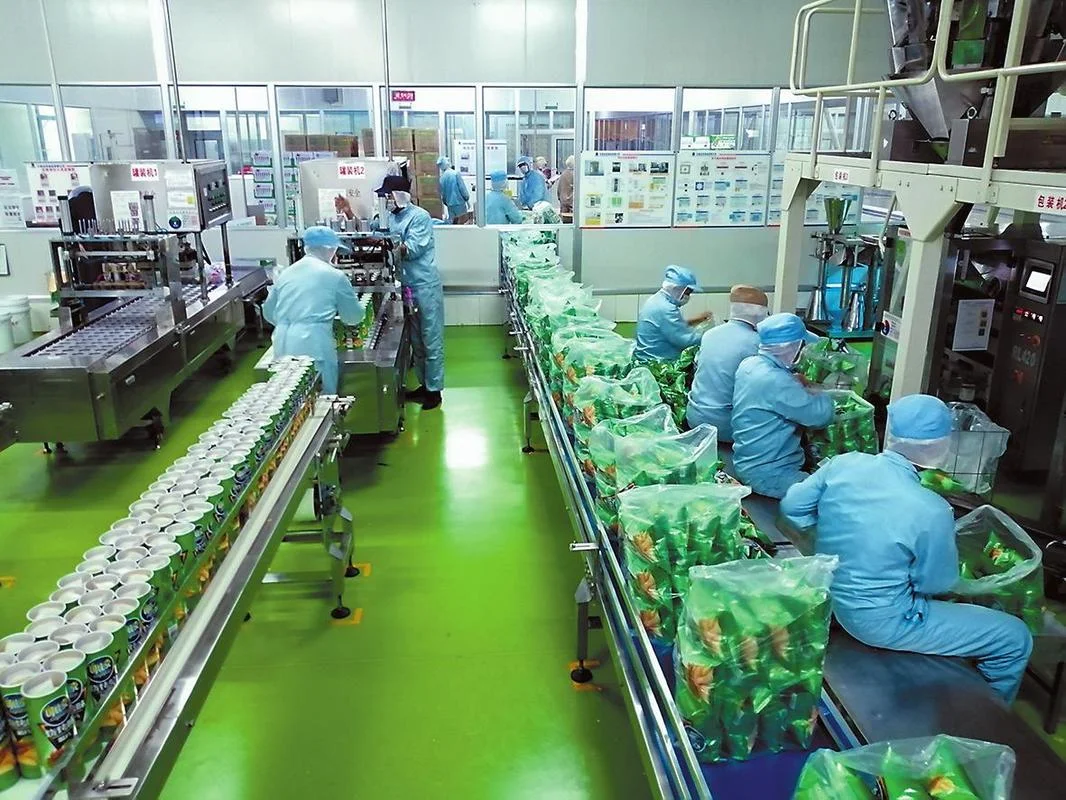 在日本留学食品加工厂-