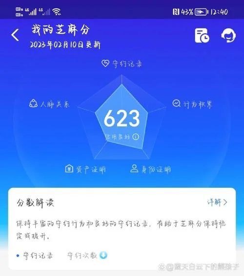 如何查芝麻分_2