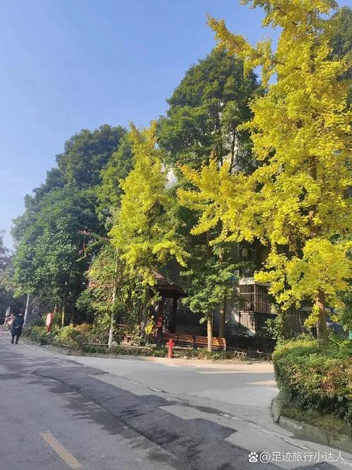 成都战旗村旅游攻略_2