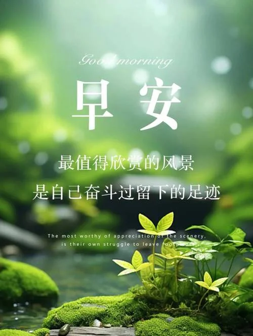 早安感悟心情说说_1