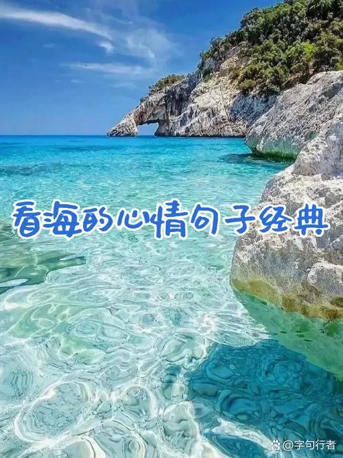 赞叹大海的美的感悟_1