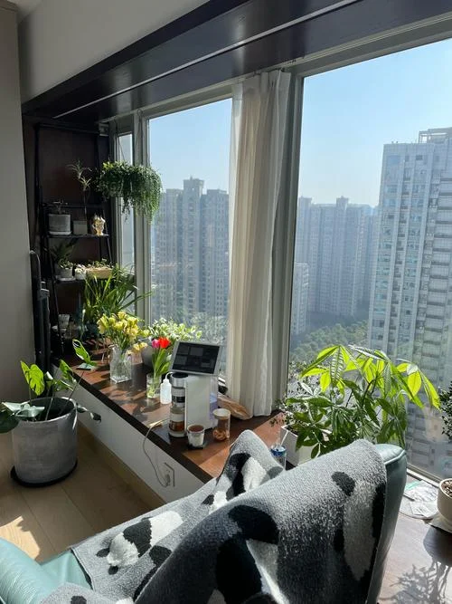 可以坐的窗台叫什么_1