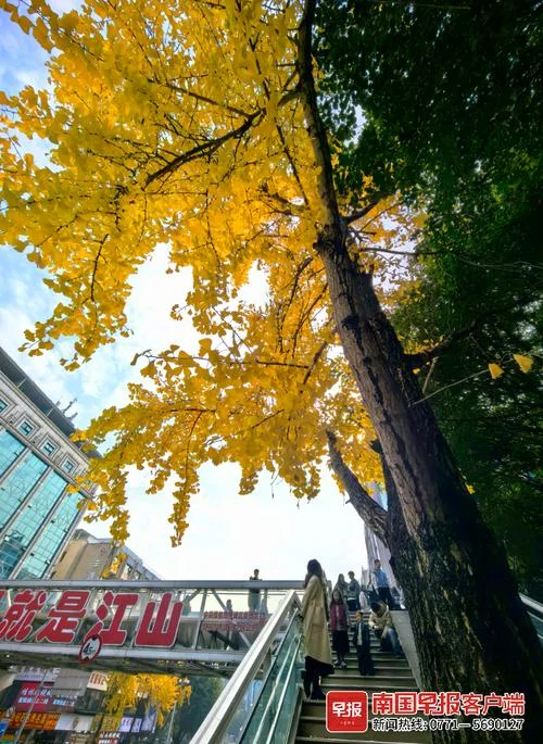 中国网红打卡景点_2