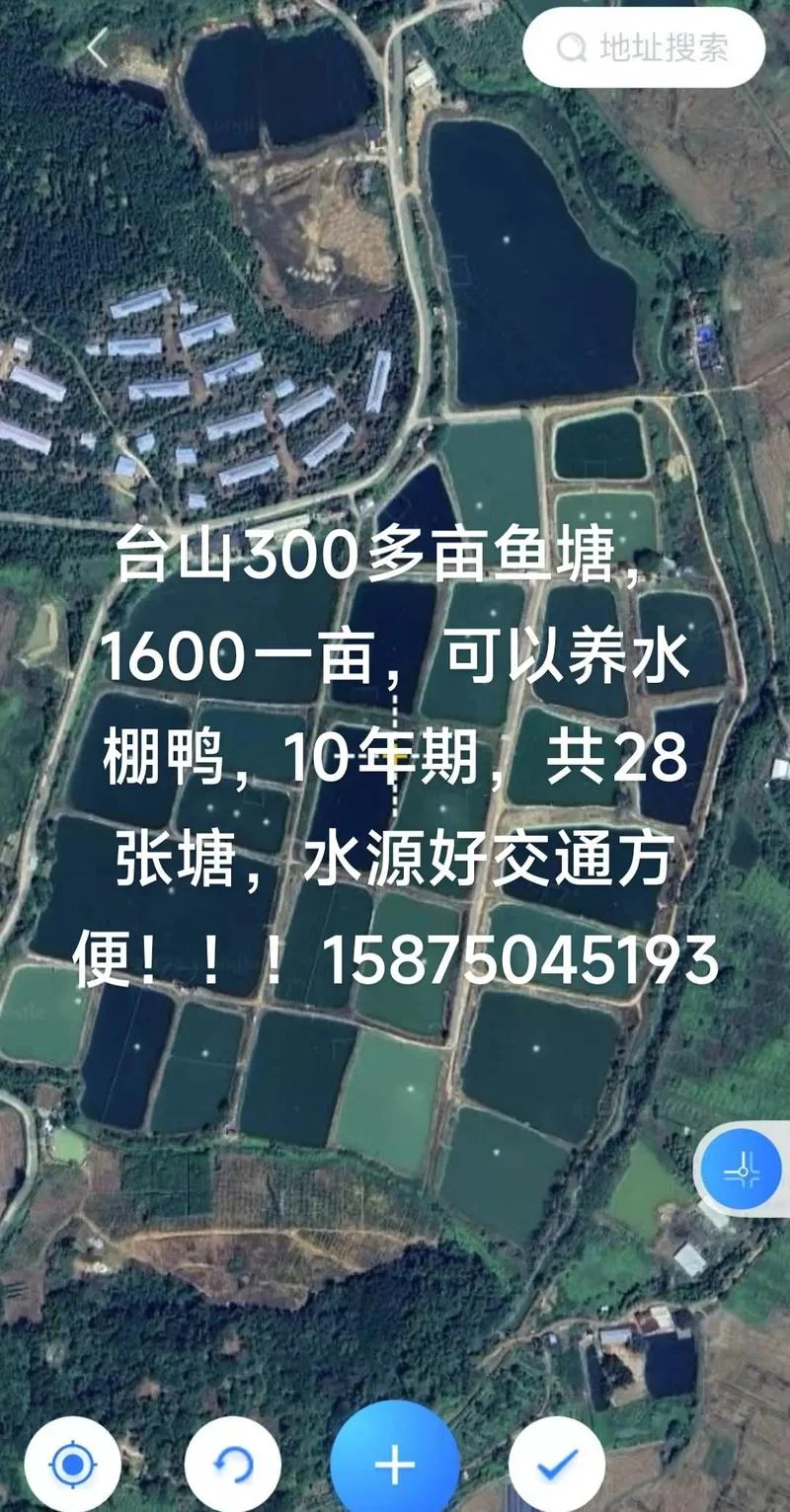 乡下鱼塘多少钱一亩_1