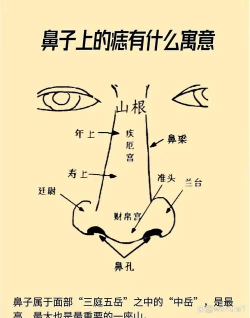 面相有讲究吗_1