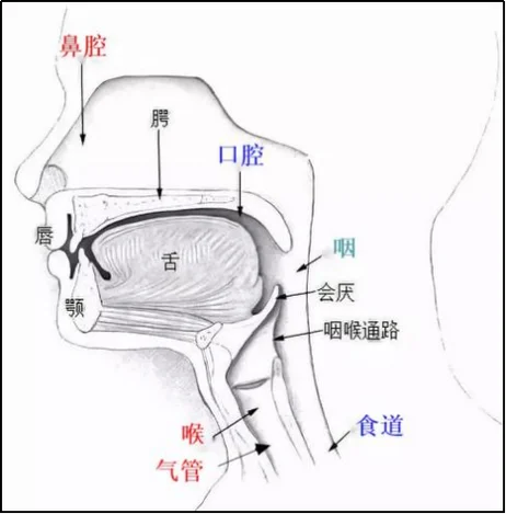 梦见嘴里吐血_2